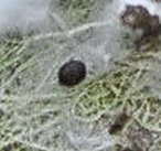 Quiz domenicale  facile e sportivo.....